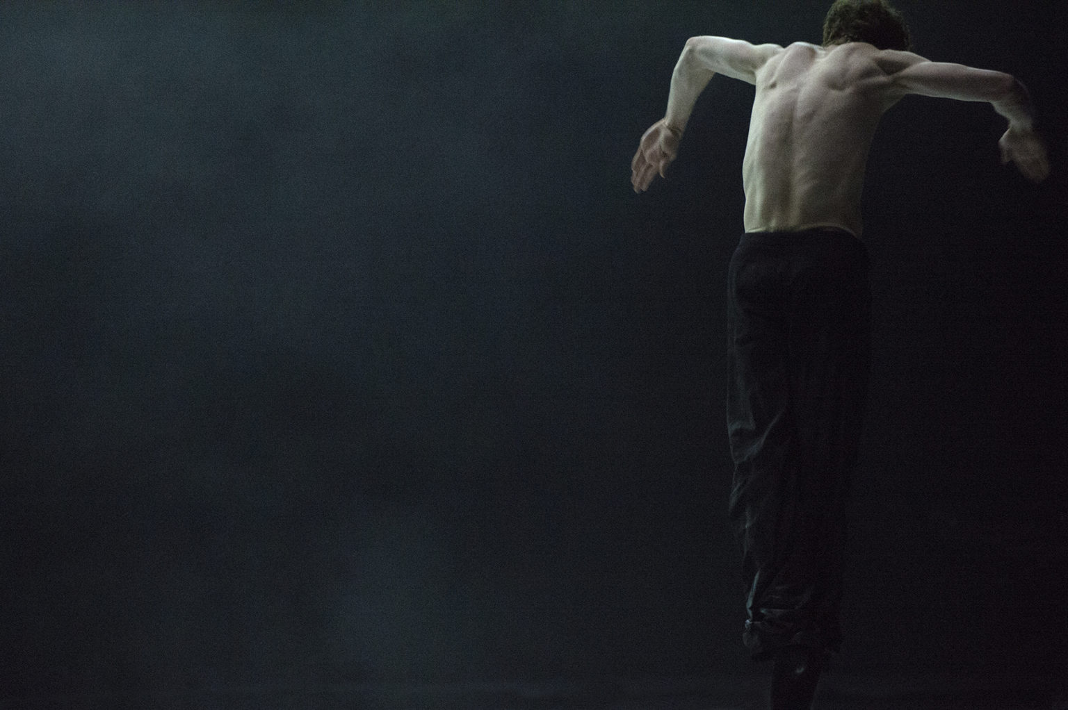 Notations - Deer Vision - Ballett Zürich, 2013/14