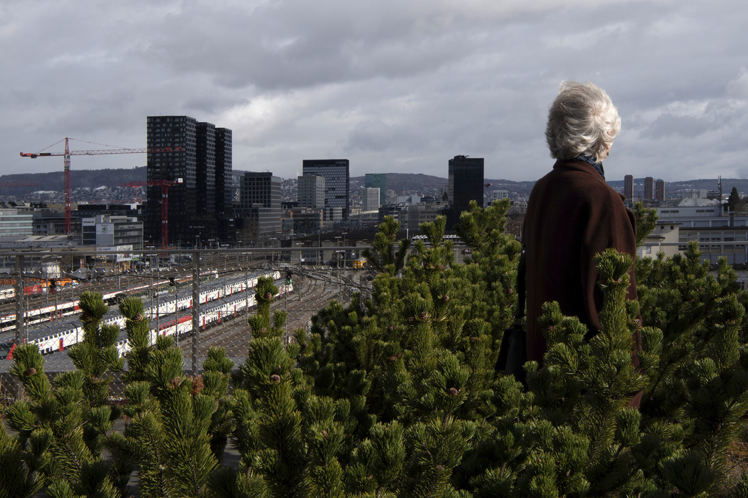 Ulrike Müller, 2019